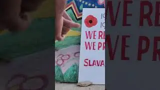 плине кача 🕊🇺🇦