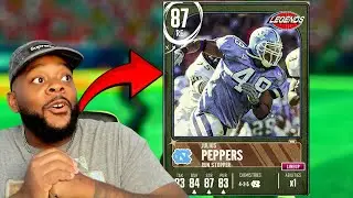 Beefed up my pass rush with these two players! cfb 25| no money spent ep.16