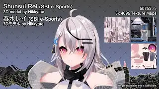Shunsui Rei / 春水レイ - Turntable