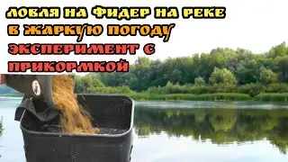 Ловля на фидер на реке в жаркую погоду