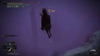 Elden ring runes glitch after patch level up fast