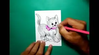 How to draw an ash colored kitten with a pink bow