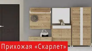 Комплект прихожая Скарлет ( Світ Меблів) Антрацит