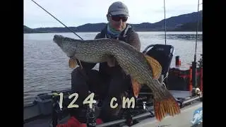 Le brochet d'une vie