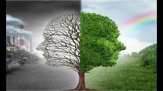 Environmental impact of thermal power plants