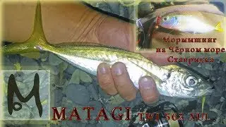 MATAGI TWJ - 562XUL. Ставрида.