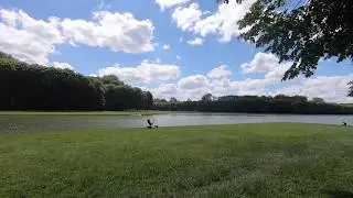 Lost in woods | Mesmerizing View