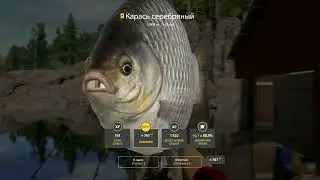 ❗❗❗Русская Рыбалка 4 ❗❗❗Ладожское 🎉Трофы караси🎉