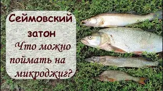 Сеймовский затон.  Что можно поймать на микроджиг?