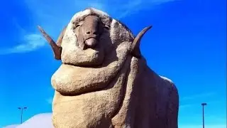 The Big Merino