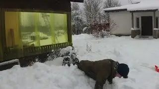 УПАЛ С КРЫШИ? ПОПОЛНЕНИЕ 2!
