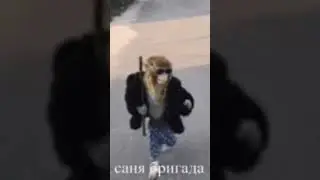 #бригада