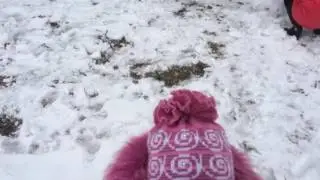 Снег, снег, снег... 6