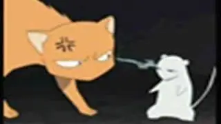 fruits basket