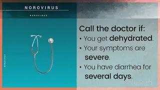 What is Norovirus? | WebMD