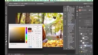 Falling Leaves Leaf Overlays and Actions for Photoshop CS and CC