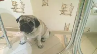 Печалька