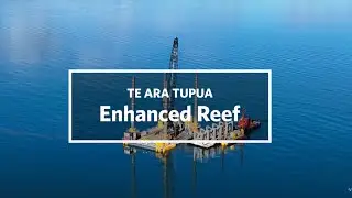 Te Ara Tupua enhanced reef