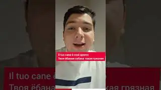 Артикли итальянского языка 