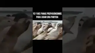 Máquina de guerra 🗿 #humor #amongus #shorts #viral