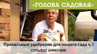 Голова садовая - Правильные удобрения для нашего сада ч.1 (Сульфат Аммония)