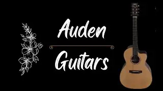 Auden Guitar for sale. $1000, killer guitar for half price.