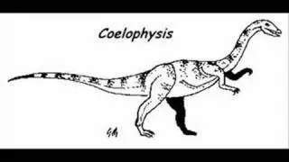 Coelophysis Tribute