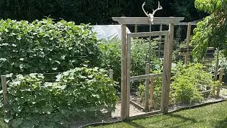 Mega Homestead Garden Tour LIVE