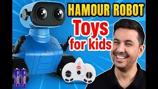 Why Hamour Robot Toys Are Worth Your Time (and Money)