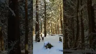 Happy New 2022 Year from Sunshine Coast of Canada.