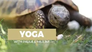 Yoga with Paula & Pauline | Video4everyone Lenstest Sigma 56mm mft on G9 Lumix Panasonic