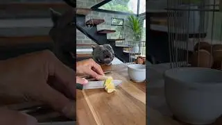 Bolinho de Banana - Nossa Rotina 