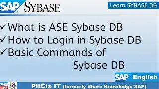 SAP ASE Sybase Database | Learn SAP Sybase with Easy Steps | SE01| PitCia IT SAP