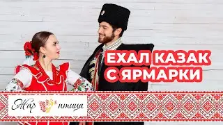 «Ехал казак с ярмарки» -  «Борода Folk» в передаче "Эх, казаки!" на канале "Жар Птица"