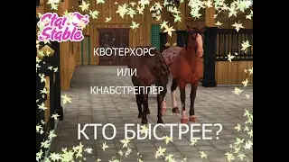 star stable/кто быстрее? квотерхорс или кнабструппер?