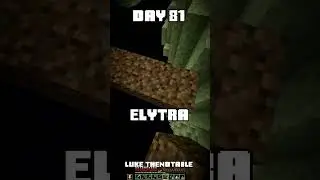 100 Days - [Minecraft Shorts] - Day 81 #minecraft #100days