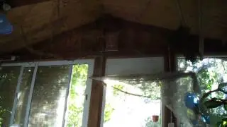 Собрание #4