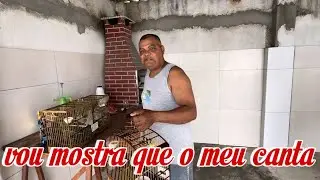 ELE LEVOU UM COLEIRO DE RODA PRO X1 - #parte1