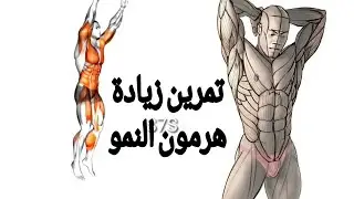 اهم 14تمرين لزيادة هرمون التستوستيرون تسمى التمارين المركبة تمارين تستهدف أكثر من عضلة وأكثر من مفصل