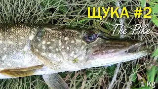 Ловля Щуки - POV Real Pike fishing #2