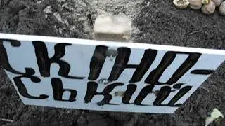 посадка оріхів сорт Скіноський
