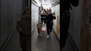Путешествия 🧳