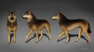 DAZ Studio Strand Based Hair Animation Experiment 01