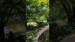 Urla 💚 #youtube #subscribe #tiktok #newvideo #reels #video #nature #shorts #short #urla #viral