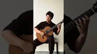 #classicalmusic #schumann #robertschumann #pianomusic #guitarcover #classicalguitar