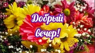 Добрый вечер! Пусть у всех всё будет хорошо! Пожелание доброго вечера