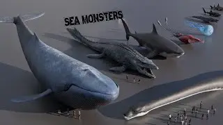 SEA MONSTERS Size Comparison 3D
