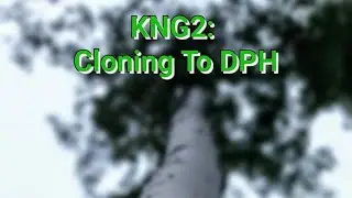 Bendix King KNG2: Cloning to a DPH