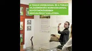 A klímaváltozás hatása a borászatra és a Tokaji borvidékre