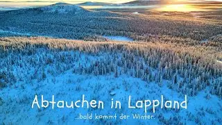 Winter am Polarkreis... noch ist alles grün, aber es dauert nicht mehr lange. ;-)